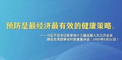 “湖北样板”如何打造？看这12组关键数字！