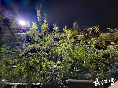 “闪电神兵”来了！龙卷风过后，这支176人队伍火速恢复7条供电主线