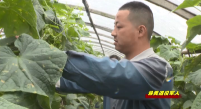 《寻找最美退役军人》栏目  许起飞：在希望的田野上绽放青春色彩