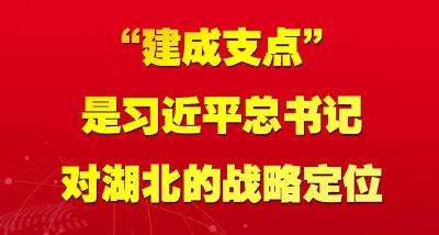 金句 | 应勇：加快建成支点 湖北要作出更大努力