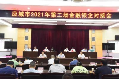 应城市2021年第二场金融银企对接会召开