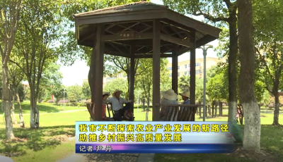 应城市不断探索农业产业发展的新路径  助推乡村振兴高质量发展