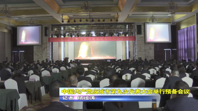 中国共产党应城市第九次代表大会举行预备会议