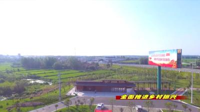 《全面推进乡村振兴》以高质量发展  助推乡村振兴