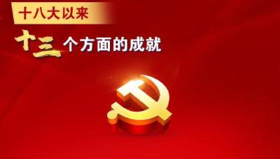 一组海报，看十八大以来十三个方面的伟大成就