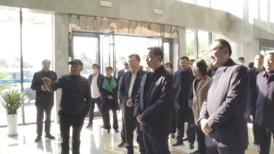 孝南区考察组来我市学习考察乡村振兴“三项行动”和全域国土空间综合整治工作