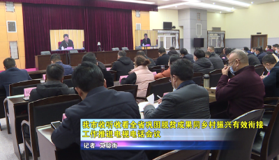 应城市收听收看全省巩固脱贫成果同乡村振兴有效衔接工作推进电视电话会议