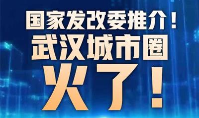 国家发改委推介！武汉城市圈，火了！