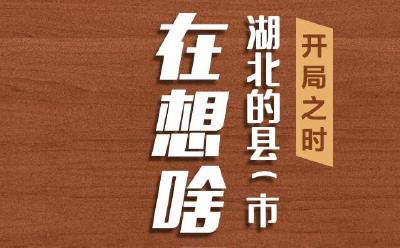 开局之时，湖北的县（市、区）委书记们在想啥？