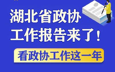 速读｜湖北省政协工作报告来了！看政协工作这一年