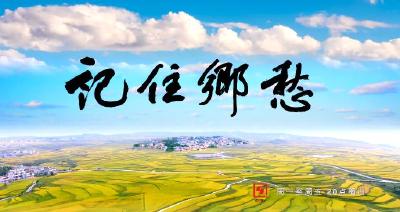 《记住乡愁》新春献映——《钱冲村：一棵黄金树铺就黄金路》