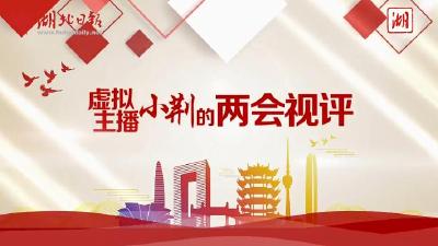 【虚拟主播小荆的两会视评】民生“账单” 温暖答案