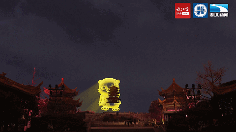 注意！黄鹤楼有萌虎出没