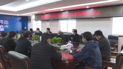 我市召开医疗保障工作暨DIP支付方式改革培训视频会