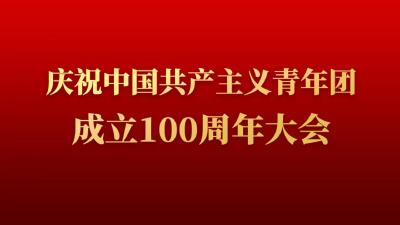 庆祝中国共产主义青年团成立100周年大会