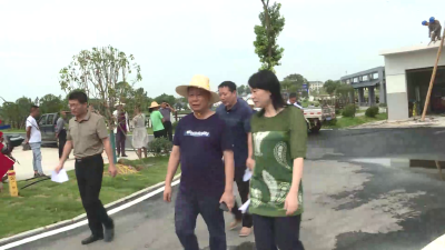 市领导调研乡村振兴三项行动和路长制工作