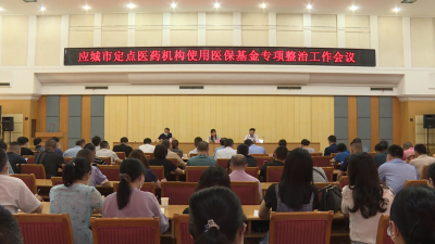 我市召开定点医疗机构使用医保基金专项整治工作会议