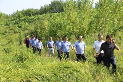 应城打出河道非法采砂专项整治行动“组合拳”