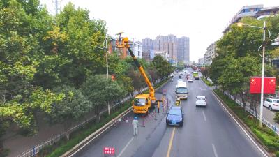 应城市供电公司：城区路灯“体检”  “亮堂堂”迎国庆