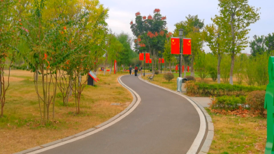 应城市园林绿化服务中心：用鲜花扮靓城市 喜迎国庆佳节 