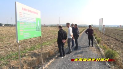 《全面推进乡村振兴》我市秋冬农业生产实施“三大”战役 打好增产增收“主动仗”