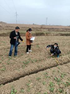四里棚街道办事处顺利完成油菜轮作苗情调查和验收