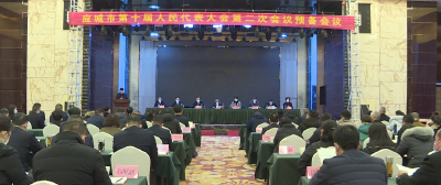 应城市第十届人民代表大会第二次会议预备会议召开