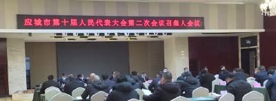 应城市十届人大二次会议代表团召集人会议召开