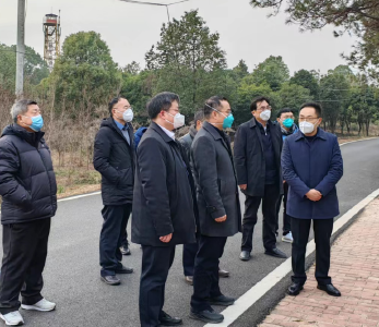 孝感市副市长、副总林长帅逊调研应城市林长制工作