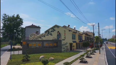 《全面推进乡村振兴》栏目：田店镇：全面推进功能镇区建设 共同缔造水美宜居新乡镇