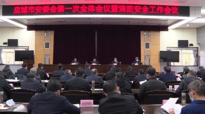 市安委会第一次全体会议暨消防安全工作会议召开