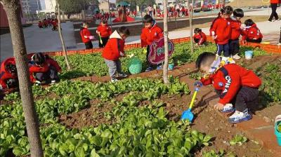 沐浴春光  乐享稚趣   应城实幼户外活动开启幼儿心智