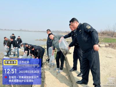 依法打击非法捕捞   维护水域生态和谐
