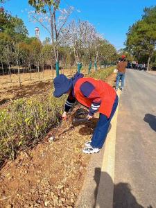 应城市应急管理局干部职工在志愿劳动中践行雷锋精神