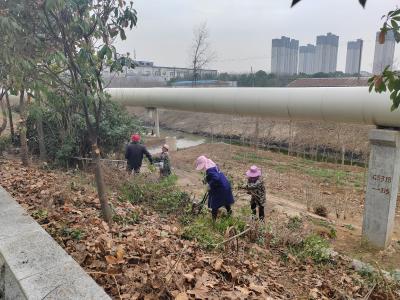 四里棚刘杨社区为短港河“梳妆靓颜”