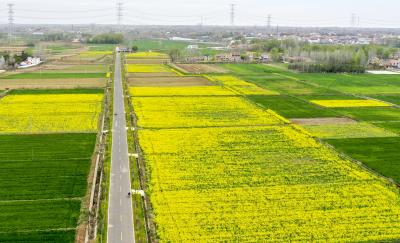 美一片 富一方   应城旅游公路“走廊”串景成线