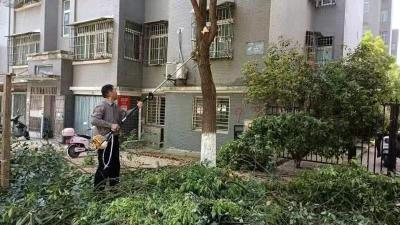 清理遮光树枝   减除居民烦恼