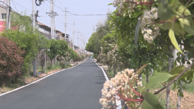 《全面推进乡村振兴》市交通运输局：建设“四好农村路” 助推乡村振兴