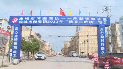 《全面推进乡村振兴》栏目：应城：推进功能城镇 扮靓乡镇“颜值”   
