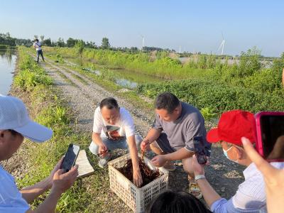 义和镇：企业调研采风 展现农业风采