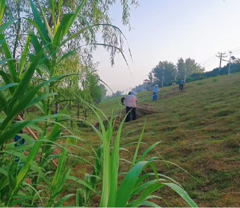 应城市水利系统积极开展人工除草除杂行动