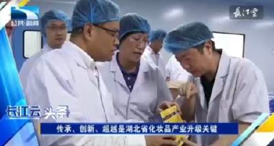 中国香料香精化妆品工业协会理事长颜江瑛一行到应城调研