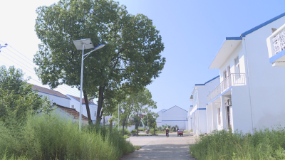 四里棚街道：乡村路灯照亮幸福路