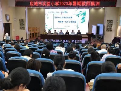 应城实验小学暑期集训明师德正师风