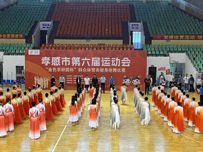 应城代表队16名选手参加孝感市第六届运动会健身排舞比赛