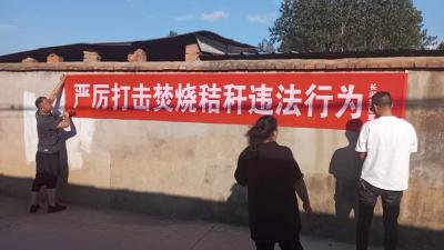 应城城中长湖社区秸秆禁烧宣传常抓不懈
