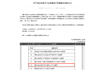 应城井矿盐化工产业集群入选国家级中小企业特色产业集群