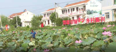 应城孙熊村：以荷为媒 绘就乡村振兴美丽画卷