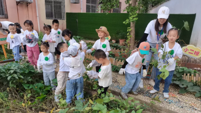 应城实验幼儿园劳动实践教育深入师生心田