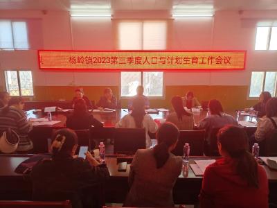 应城市杨岭镇召开2023第三季度人口与计划生育工作会议